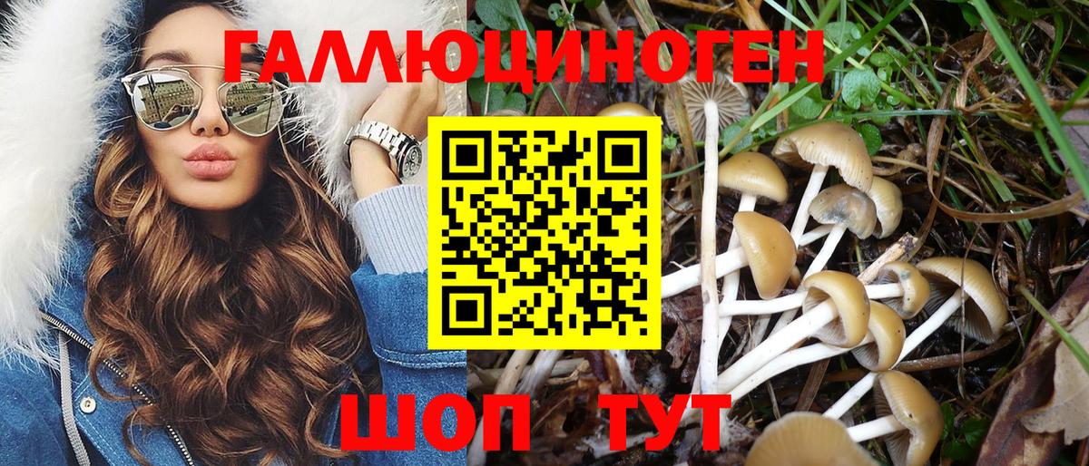 Псилоцибиновые грибы MAGIC MUSHROOMS Кольчугино